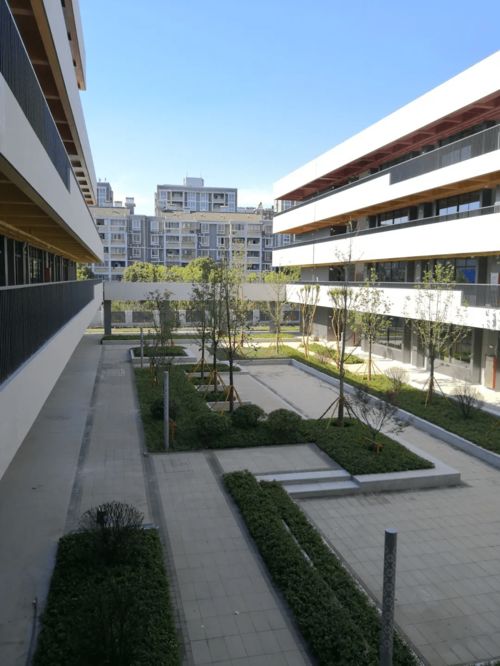 嘉興新校園科技賦能，智慧建設引領教育新風尚